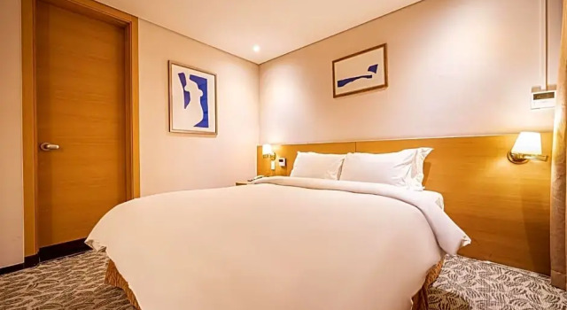 Двухместный номер Deluxe Hotel Biz Inn