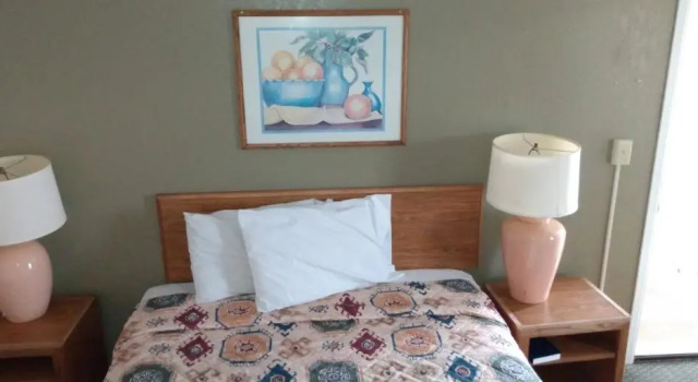 Номер Standard Mountain View Motel