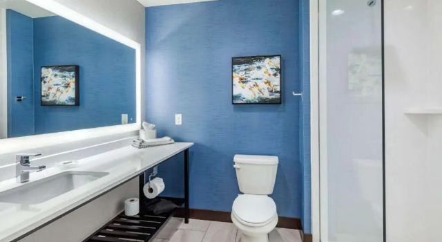 Номер Standard Holiday Inn Express Bettendorf - Davenport NE by IHG