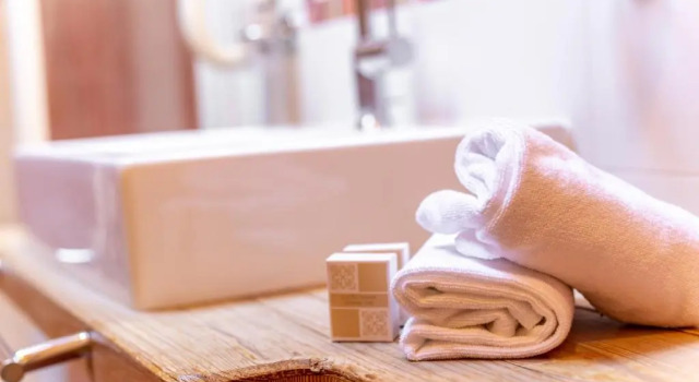 Economy Zimmer Hotel Alegra