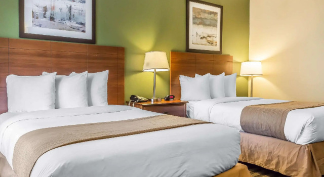 Четырёхместный номер Standard Quality Inn Flamingo