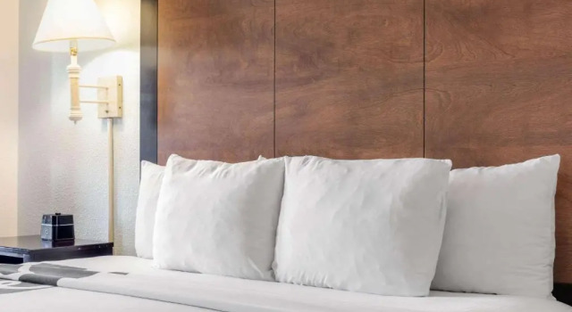 Номер Standard Sand Rose Beach Resort