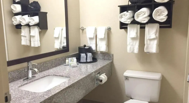 Номер Standard Best Western Plus Birmingham Inn & Suites