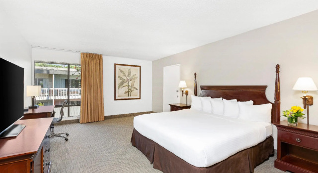 Двухместный номер Deluxe Anaheim Hotel
