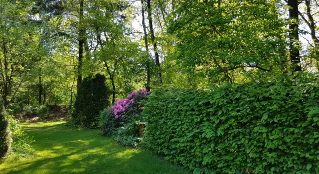 Апартаменты Bungalow Hartje Veluwe