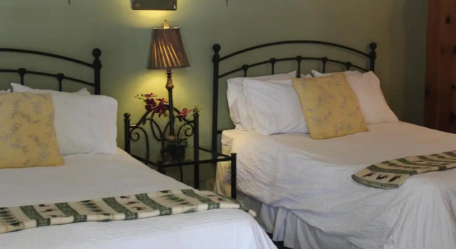 Четырёхместный номер Standard Trees Motel