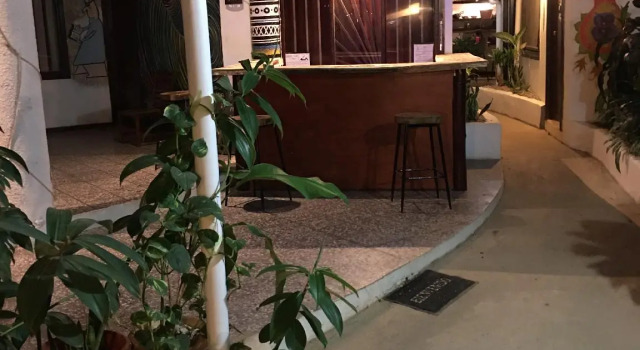 Номер Standard Pura Vida Hostel