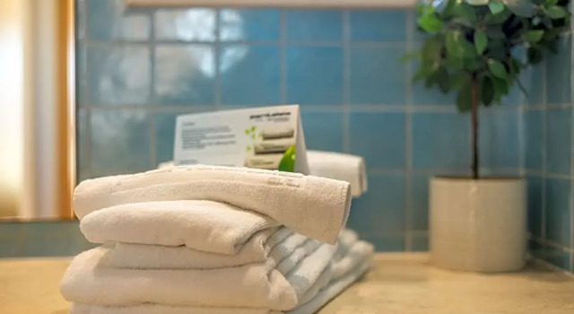 Апартаменты с 2 комнатами с частичным видом на океан Pontalaia Apartamentos Turísticos