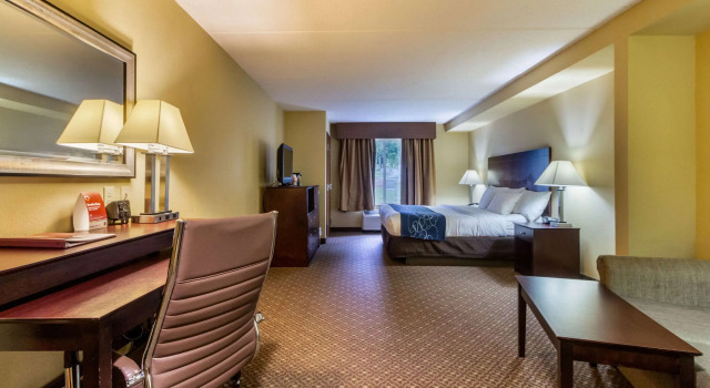 Comfort Suites Gettysburg, 予約 ホテル ゲティスバーグ Backbone Mountain