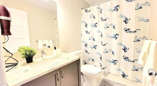 Коттедж 3 bedroom town house in ottawa close to downtown