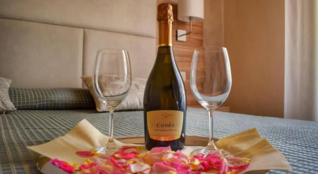 Двухместный номер Standard Hotel Giardino