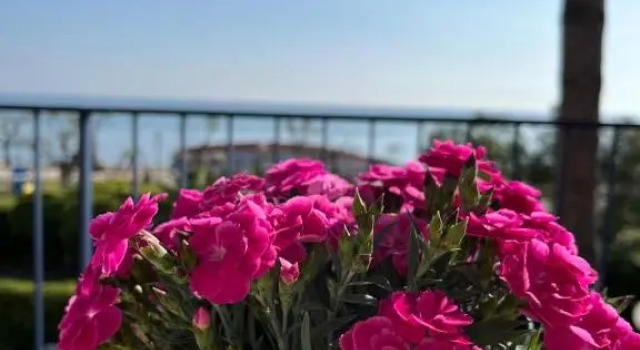 Полулюкс с видом на море Villa Maria Luxury Suites
