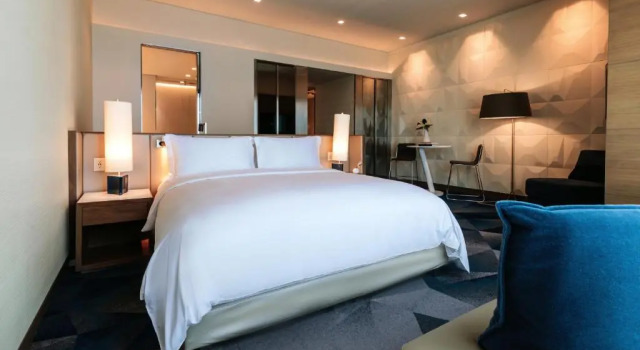 Двухместный номер Luxury с видом на город Sofitel Mexico City Reforma