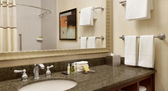 Полулюкс DoubleTree by Hilton Minneapolis Park Place