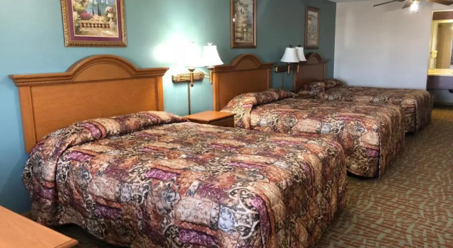 Двухместный люкс Countryside Suites Omaha