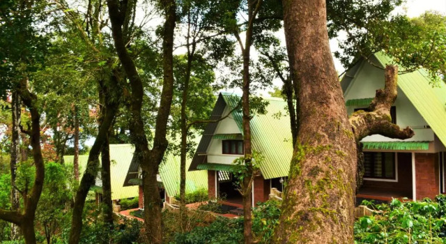 Номер Luxury Misty Woods Resort