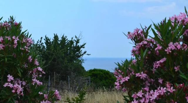 Апартаменты Standard с 2 комнатами Agriturismo Paulesa