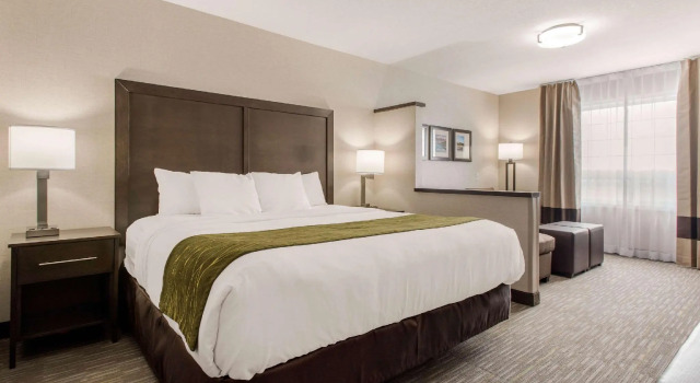 Номер Standard Comfort Inn & Suites