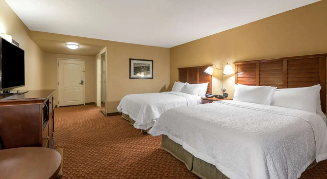 Номер Standard Hampton Inn & Suites Florence-North-I-95