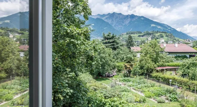 Люкс Deluxe Villa Helvetia