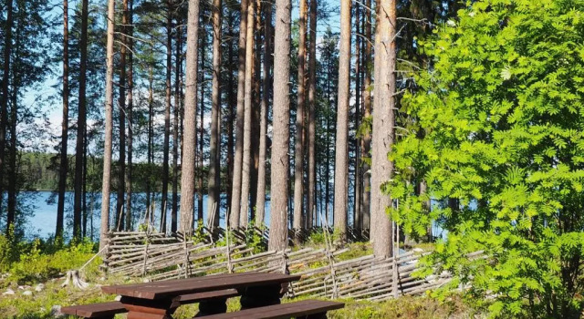 Вилла Superior Aalto Koli