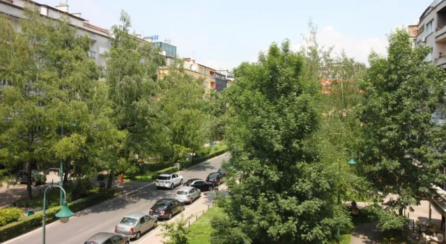 Апартаменты Radiceva Apartment