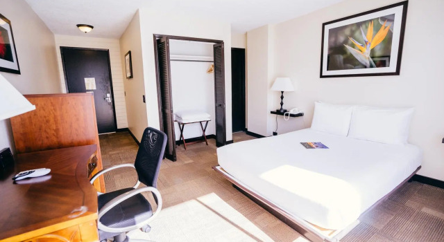 Двухместный номер Standard Stay Hotel Waikiki
