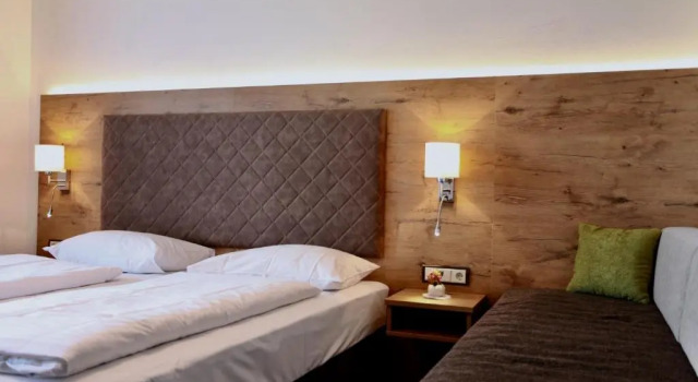 Номер Economy Berghof Dachsteinblick