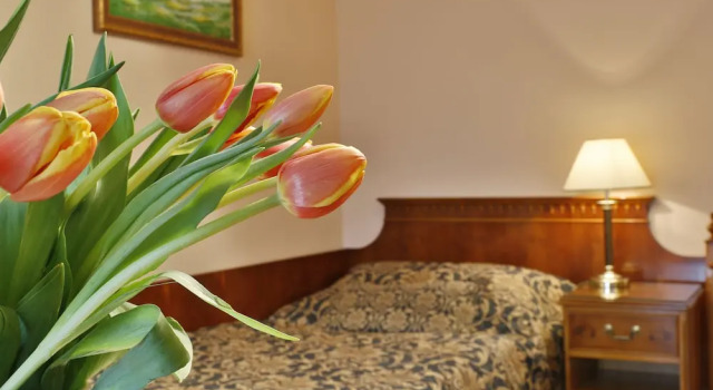 Номер Classic Hotel Kolonada