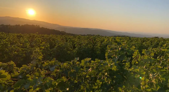 Апартаменты Dimora Le Colline