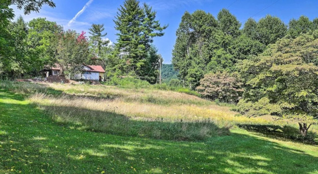 'momma Rhodes' Rustic Blue Ridge Cabin on 4 Acres, Prenota Hotel Arden Appalachi