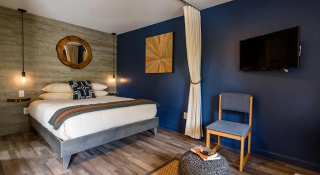 Номер Deluxe Treehouse Lodge
