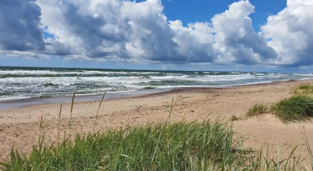 Апартаменты Baltic dunes apartments