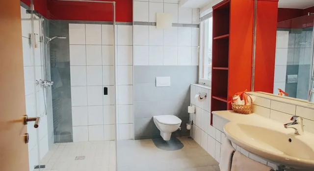 Номер Comfort Hotel SeeRose