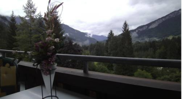 Studio Christl, Book Hotel Bad Goisern 