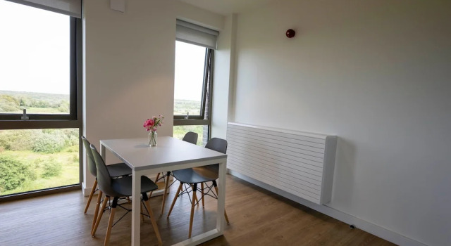 Апартаменты с 4 комнатами с видом на окрестности University of Galway Apartments