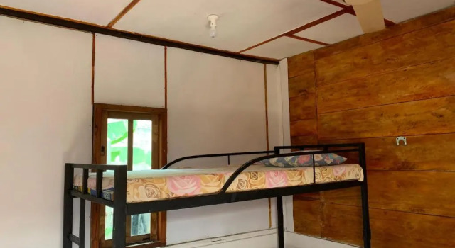 Cama en dormitorio compartido (dormitorio compartido femenino) Wanderers Hostel