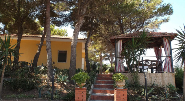 Il Lentisco