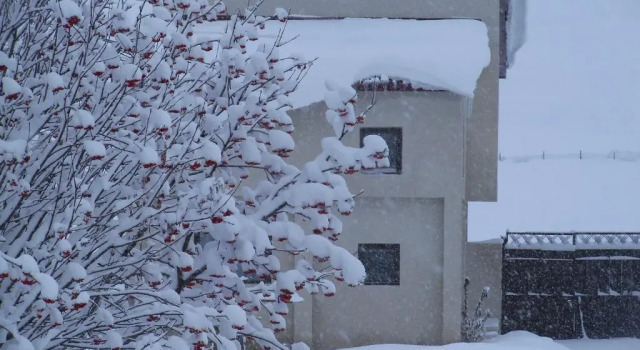 Коттедж Villa Allegria Kazbegi