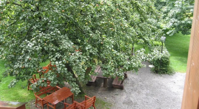 Двухместный номер Standard Waldpension Jägerstüberl