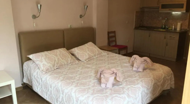 Номер Standard Natureland Efes Pension