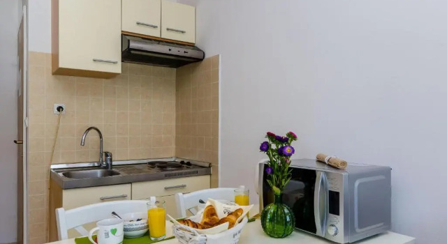 Апартаменты Мансарда Orka Apartments