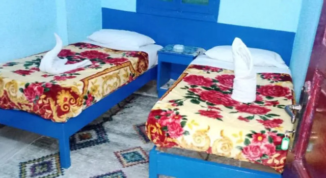 Номер Standard Oasis hotel