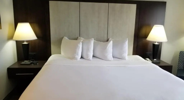 Номер Standard Wyndham Garden Hotel - Jacksonville