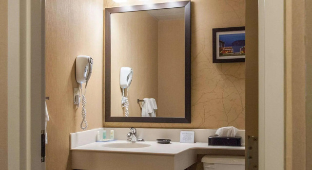 Dvoulůžkový s manželskou postelí Apartmá Hotel Gander