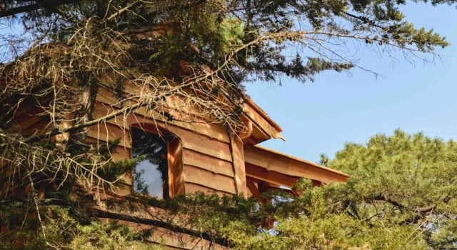 Номер Standard Logis Hôtel Emeraude des Bois