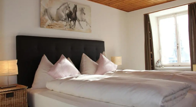 Двухместный номер Standard Hotel Restaurant Rössli
