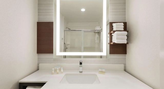 Четырёхместный номер Standard Hilton Garden Inn Oxford/Anniston, AL