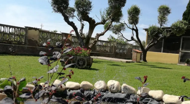 Номер Superior B&B Casa degli Ulivi