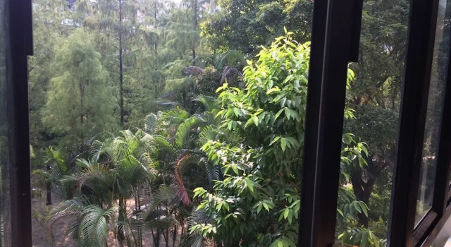 Семейный люкс с 3 комнатами с видом на сад Guangzhou Ardrew Shared Homestay